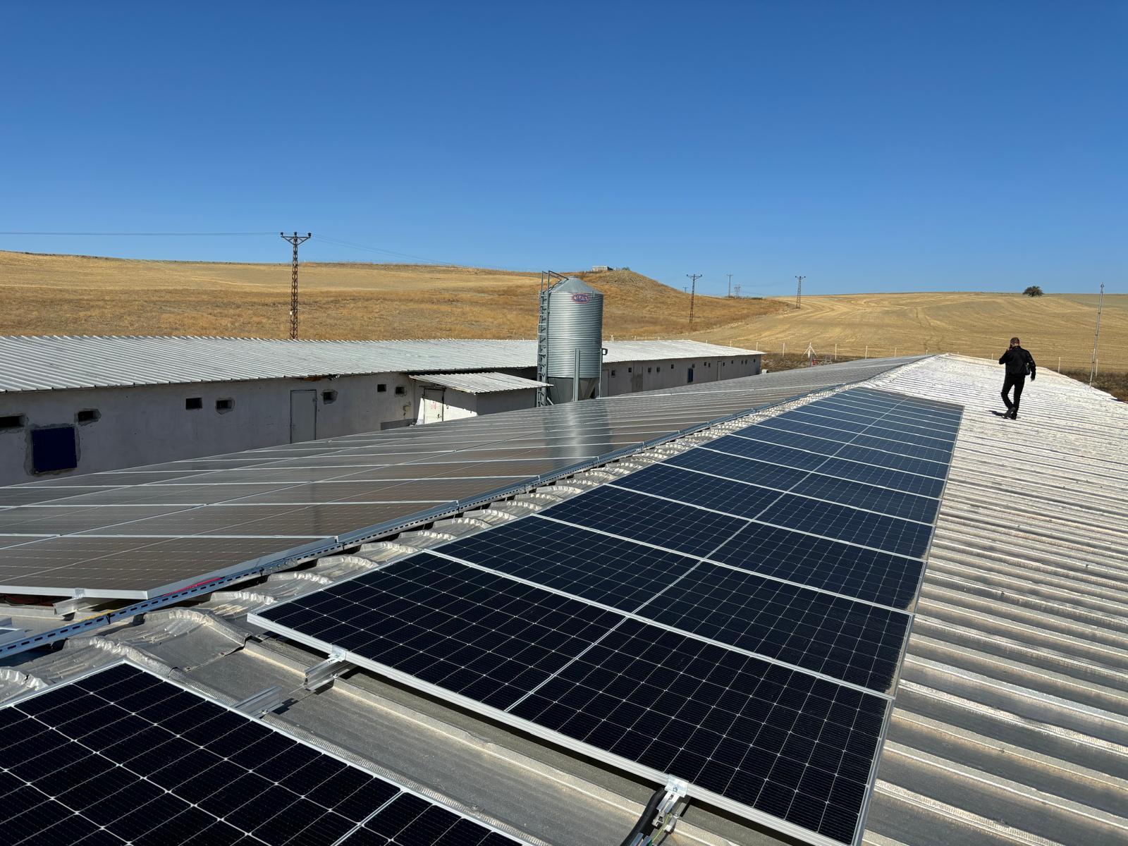 Tavuk Çiftliği Besi GES