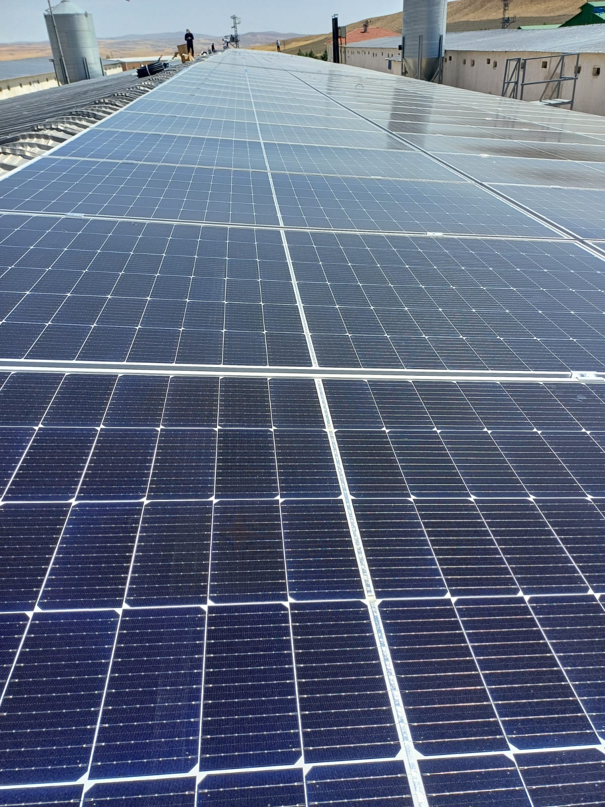 Tavuk Çiftliği Besi GES