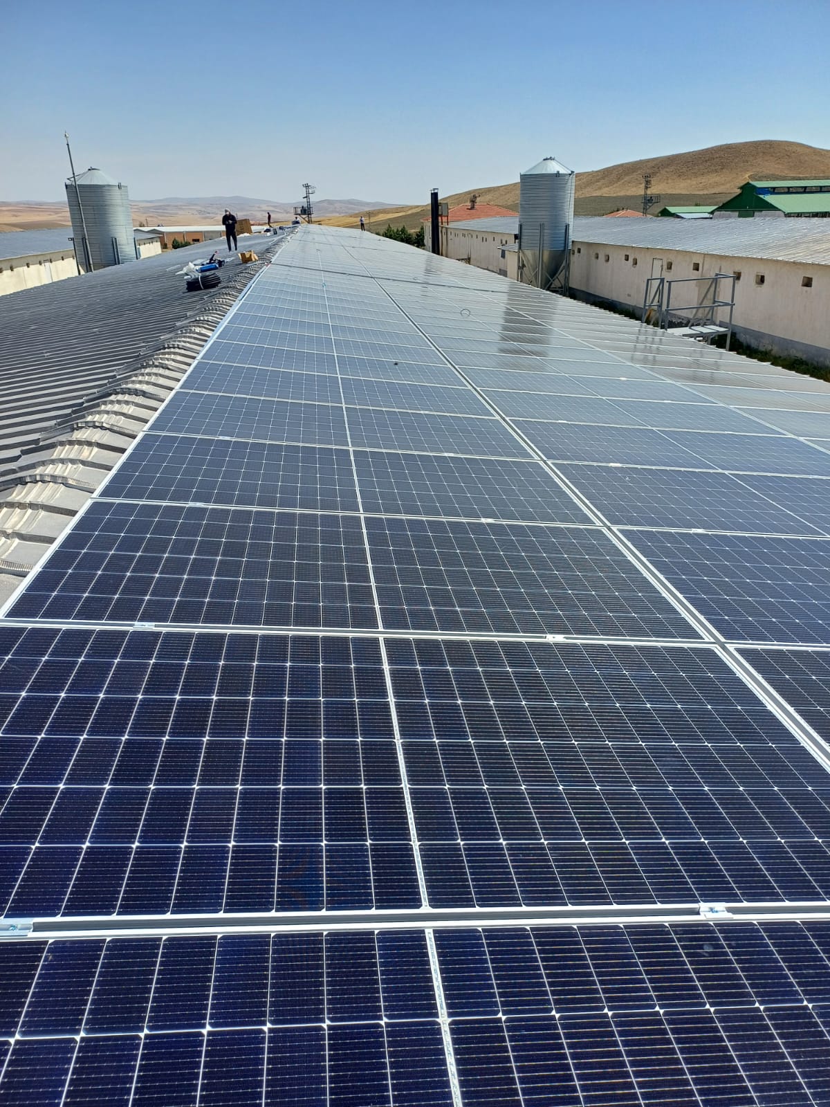 Tavuk Çiftliği Besi GES