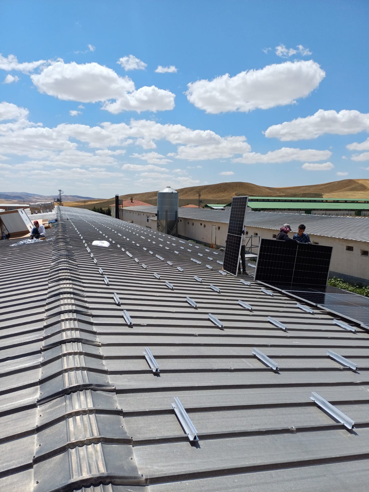 Tavuk Çiftliği Besi GES